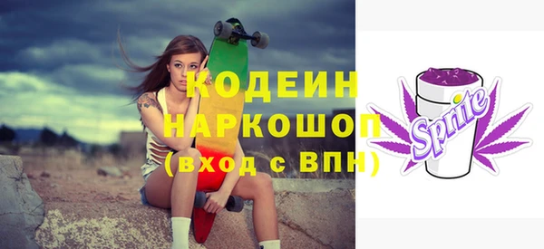 хмурый Корсаков