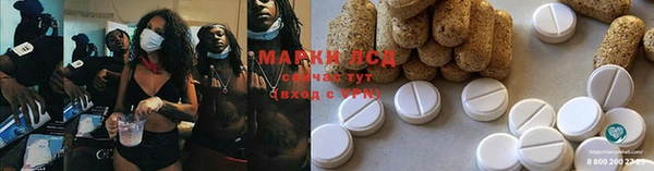 хмурый Корсаков