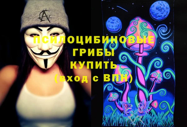 винт Коряжма
