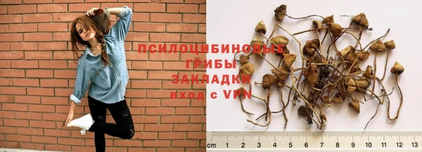 винт Коряжма