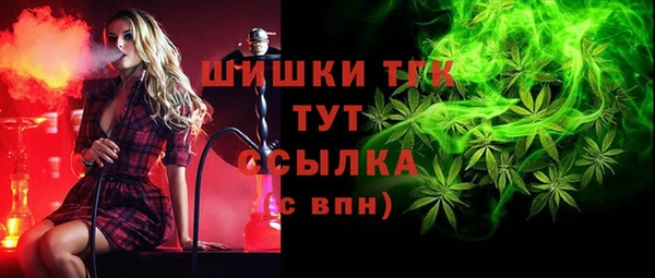 хмурый Корсаков