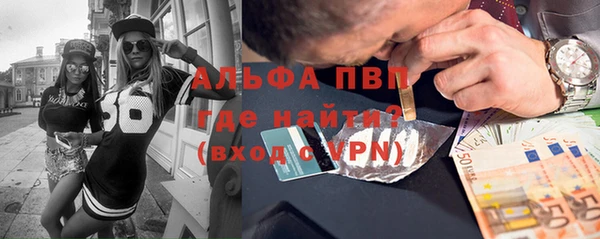 хмурый Корсаков